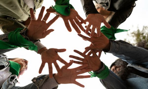 campaingns
